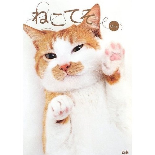 ご存知でした?猫も手相(ねこてそ)があって性格や運命なども占ったり
