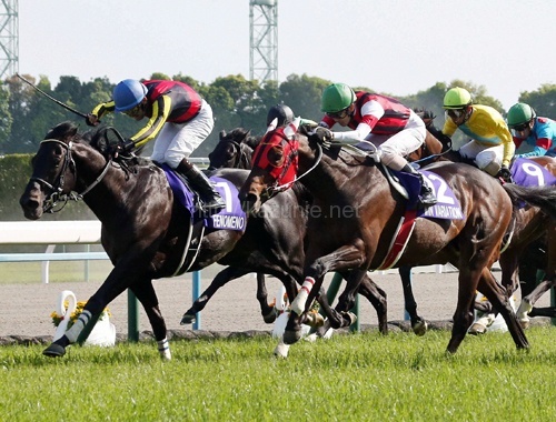 京都G1怪物フェノーメノ史上3頭目V2/天皇賞ほか今日の #スクラップ #2014 #5/4